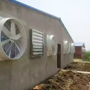 養殖黄瓜视频IOS下载安裝時要清潔